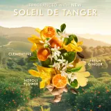 Moroccanoil Body Soleil de Tanger - Молочко для тела с аргановым маслом, 360 мл — фото 4
