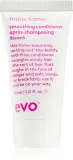 EVO Mane Tamer Smoothing Conditioner - Смягчающий кондиционер против пушистости волос, 30 мл — фото 1