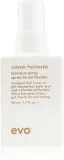 EVO Mister Fantastic Blowout Spray - Защитный спрей для ускорения сушки волос, 50 мл — фото 1