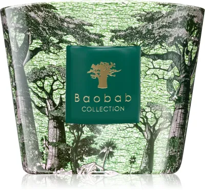 Baobab Collection Sacred Trees Touba - Ароматическая свеча, 500 г