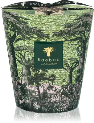 Baobab Collection Sacred Trees Touba - Ароматическая свеча, 1100 г