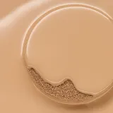 Тональное средство Catrice Invisible Cover Cushion Foundation кушон, с SPF, 10 г, оттенок 033W — фото 2