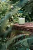 Свеча ароматическая Tropicandle Forest Wood, древесный аромат хвои, 170 мл — фото 4