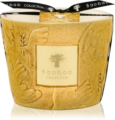 Свеча ароматическая Baobab Collection Paz Dove цитрусовая, с четырьмя фитилями, 500 г