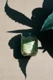 Свеча ароматическая Tropicandle Green Tea, свежий чистый аромат, 170 мл — фото 4