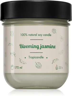 Свеча ароматическая Tropicandle Blooming Jasmine, тёплый цветочный аромат, 170 мл