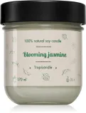 Свеча ароматическая Tropicandle Blooming Jasmine, тёплый цветочный аромат, 170 мл — фото 1