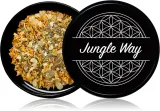 Благовоние Jungle Way Pure Focus травяной цветочный аромат, 15 г — фото 1