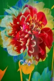 Свеча ароматическая Baobab Collection Arty Flowers Bouquet цветочная, с хлопковым фитилём, 500 г — фото 2