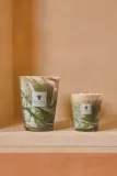 Свеча ароматическая Baobab Collection Leaves Marius древесная, в стеклянном сосуде — фото 4