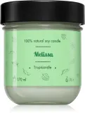Свеча ароматическая Tropicandle Melissa, соевый воск, 170 мл — фото 1