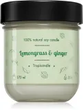 Свеча ароматическая Tropicandle Lemongrass Ginger, отпугивает комаров, 170 мл — фото 1