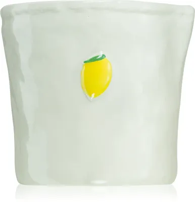 Свеча ароматическая Paddywax Bistro Meyer Lemon ручной работы, чистое горение, 226 г