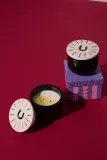 Свеча ароматическая Paddywax Charmed Tabac Pine восточно-древесная, два фитиля, 226 г — фото 4