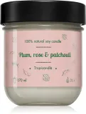 Свеча ароматическая Tropicandle Plum, Rose Patchouli, тропический аромат, 170 мл — фото 1