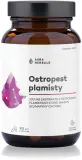 Добавка к пище Aura Herbals Ostropest plamisty с расторопшей, 90 капсул — фото 1