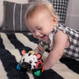 Развивающая игрушка Baby Einstein Zen the Zebra Curious Car сенсорная, контрастные цвета, 1 шт 3 m+ — фото 6