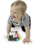 Развивающая игрушка Baby Einstein Zen the Zebra Curious Car сенсорная, контрастные цвета, 1 шт 3 m+ — фото 7