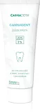 Паста зубная Cannaderm Cannadent Alkaline toothpaste с мятой, для свежего дыхания, 75 г — фото 1