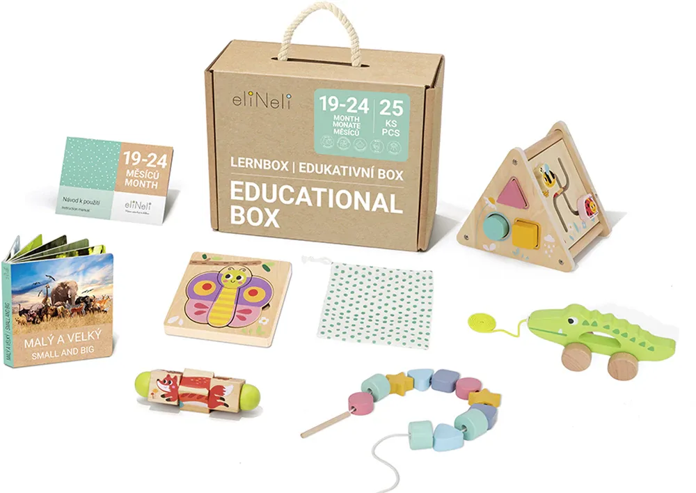 Развивающий набор eliNeli Educational Box 19-24 m+ деревянный, в кейсе, подарочный, 1 шт