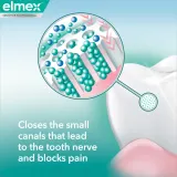 Зубная паста Elmex Sensitive Professional Repair Prevent White отбеливающая, для чувствительных зубов, 75 мл — фото 3
