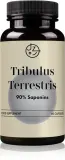 Добавка биологически активная Jemy zdrowo Tribulus 90% экстракт якорцев стелющихся, в капсулах, 64 г — фото 1