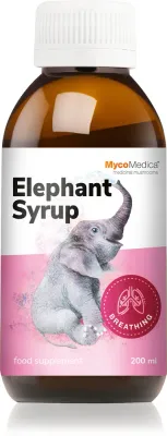 Сироп MycoMedica Elephant Syrup для жизненного тонуса, 200 мл
