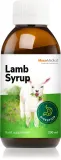 Биологически активная добавка MycoMedica Lamp Syrup, сироп, для жизненного тонуса, 200 мл — фото 1