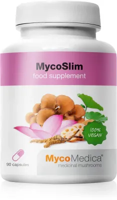 Биологически активная добавка MycoMedica MycoSlim, в капсулах, для пищеварения, 90 капсул