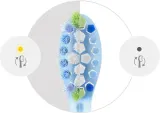 Сменные насадки для зубной щётки Philips Sonicare Premium Plaque Defense HX9042/87 белые, 2 шт — фото 8