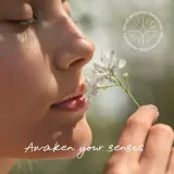 Масло для тела Mexx Inspired Nature, цитрусово-древесный аромат, с маслом арганы, 100 мл парфюмированный — фото 6