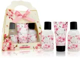 Набор косметики Accentra Essential Botanicals Gift Set гель для душа, пена и молочко, 3 шт — фото 1