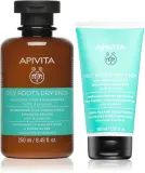Набор для ухода за волосами Apivita Oily Roots Dry Ends для жирной кожи головы и сухих кончиков, 1 шт — фото 1