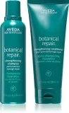 Набор для волос Aveda Strengthening Set шампунь и кондиционер, укрепляющий, 1 шт — фото 1