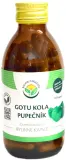Капсулы растительные Salvia Paradise Gotu kola для памяти и концентрации, 120 капсул — фото 1