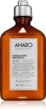 Шампунь для волос FarmaVita Amaro Energizing мужской, очищающий, 250 мл — фото 1