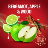 Набор Old Spice Tomorrowland дезодорант-спрей и дезодорант-стик, 1 шт — фото 4