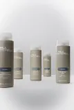 Кондиционер для волос Paul Mitchell Classic Awapuhi Conditioner увлажняющий, разглаживающий — фото 3