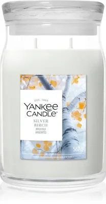 Ароматическая свеча Yankee Candle Silver Birch, аромат хвои, 567 г