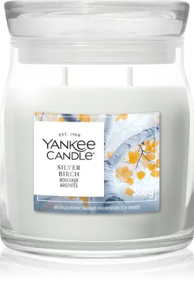 Ароматическая свеча Yankee Candle Silver Birch, аромат хвои, 368 г