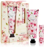 Набор для ухода Accentra Essential Botanicals Hand and Nails Cream крем для рук и бальзам для губ, 2 шт — фото 1