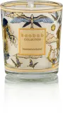 Набор ароматических свечей Baobab Collection Tomorrowland подарочный, ручная работа, 3 шт. по 80 г — фото 3