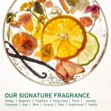 Сыворотка для волос Biolage Essentials HydraSource увлажняющая, несмываемая, с пипеткой, 90 мл — фото 7