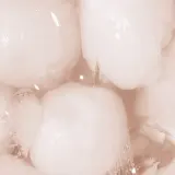 Зубная паста LYSS Fresh Lychee с фторидом натрия и ксилитом, 60 мл — фото 2