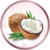 Выпрямитель для волос Remington Coconut Smooth S5901 с керамическими пластинами, в чехле, 1 шт — фото 4