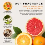 Baylis & Harding Sweet Mandarin & Grapefruit - Набор косметики для тела Baylis Harding Sweet Mandarin Grapefruit подарочный, цитрусовый — фото 3