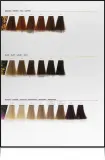 L’Oréal Professionnel Inoa ODS2 - Краска для волос L’Oreal Professionnel Inoa ODS2 стойкая, закрашивающая седину, 60 г, 60 г, оттенок 9,12 — фото 4