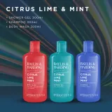 Baylis & Harding Men's Citrus Lime & Mint - Набор мужской косметики Baylis Harding Men's Citrus Lime Mint Men's Trio Bathing, гель для душа, шампунь и бальзам после бритья — фото 2