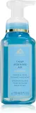 Bath & Body Works Crisp Morning Air - Жидкое мыло для рук Bath Body Works Crisp Morning Air, питательное, для всех типов кожи, 259 мл, 259 мл — фото 1
