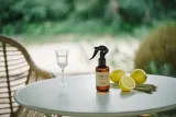 ípuro Functionals Citronella - Ароматический спрей для дома ipuro Functionals Citronella освежающий, с чистым воздушным ароматом, 150 мл, 150 мл — фото 2